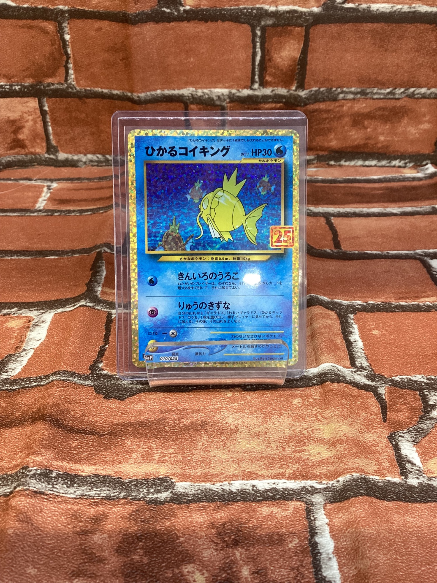 高額ポケモンカード入荷いたしました！｜2023年12月25日｜リサイクル