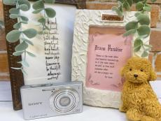 トレファク八女店ブログ