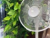 トレファク八女店ブログ