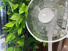 トレファク八女店ブログ