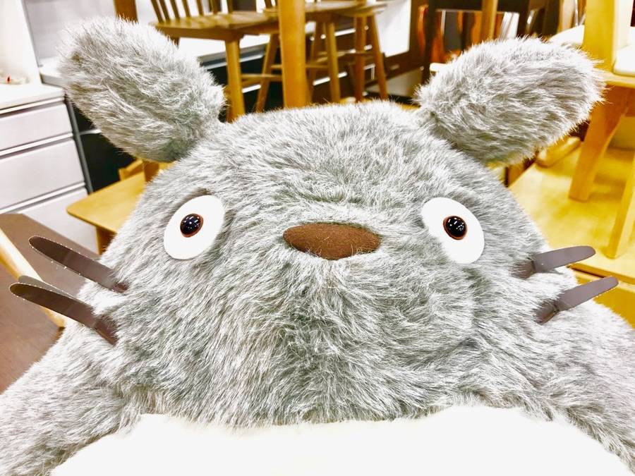となりのトトロ シングルソファー入荷しました！！【中央林間店