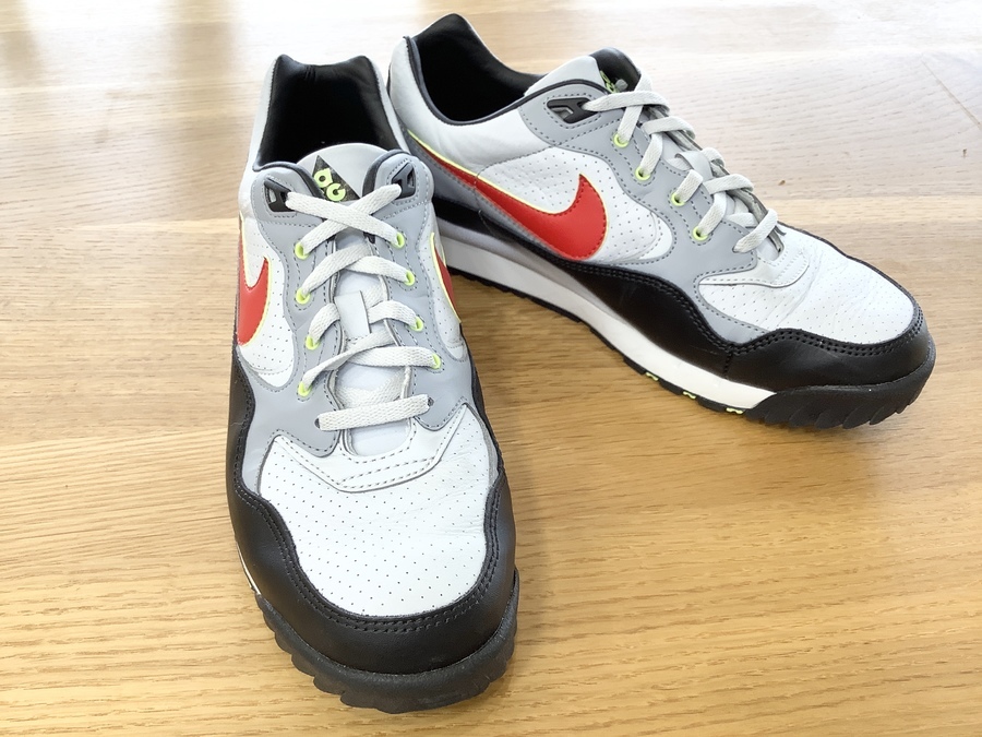 激安通販 NIKE(ナイキ) エアワイルドウッド ACG PURE PLATINUM(ピュア 靴