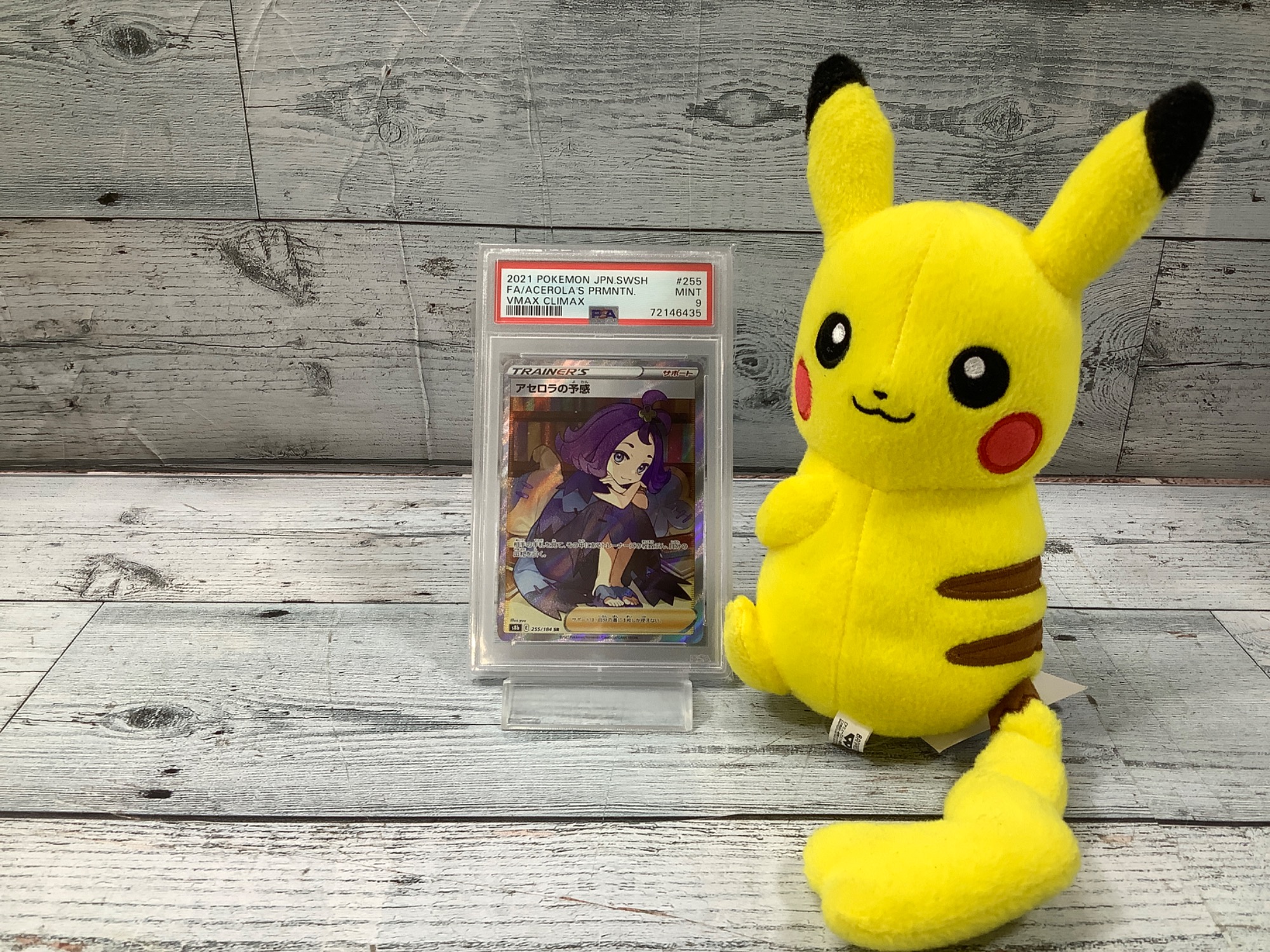 【早い者勝ち 大特価 バラ可能】アセロラ カードスリーブ オマケ付き 51kycuLF7QL._UF350,350_QL50_.jpg