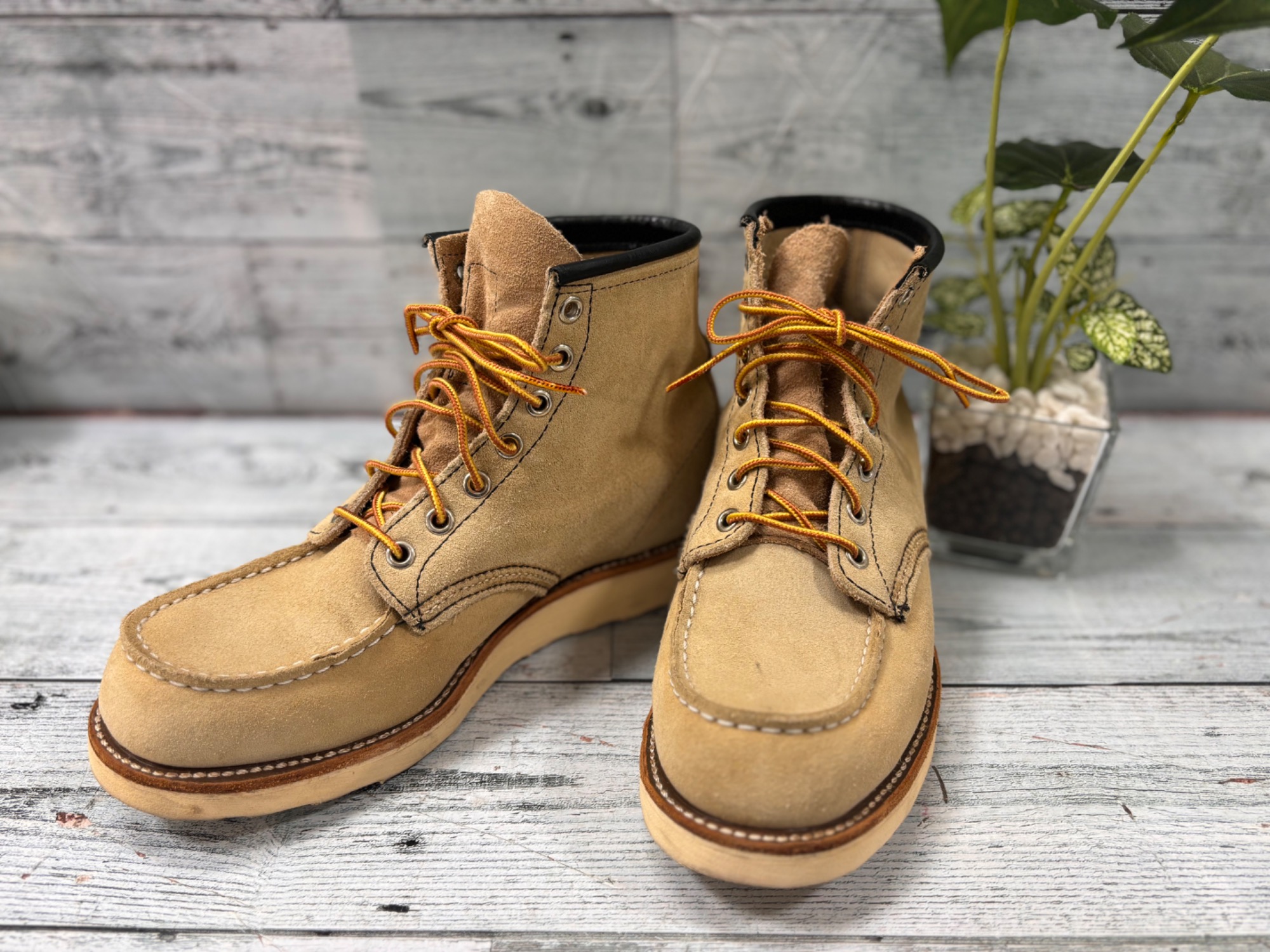 RED WINGアイリッシュセッターベージュが入荷いたしました