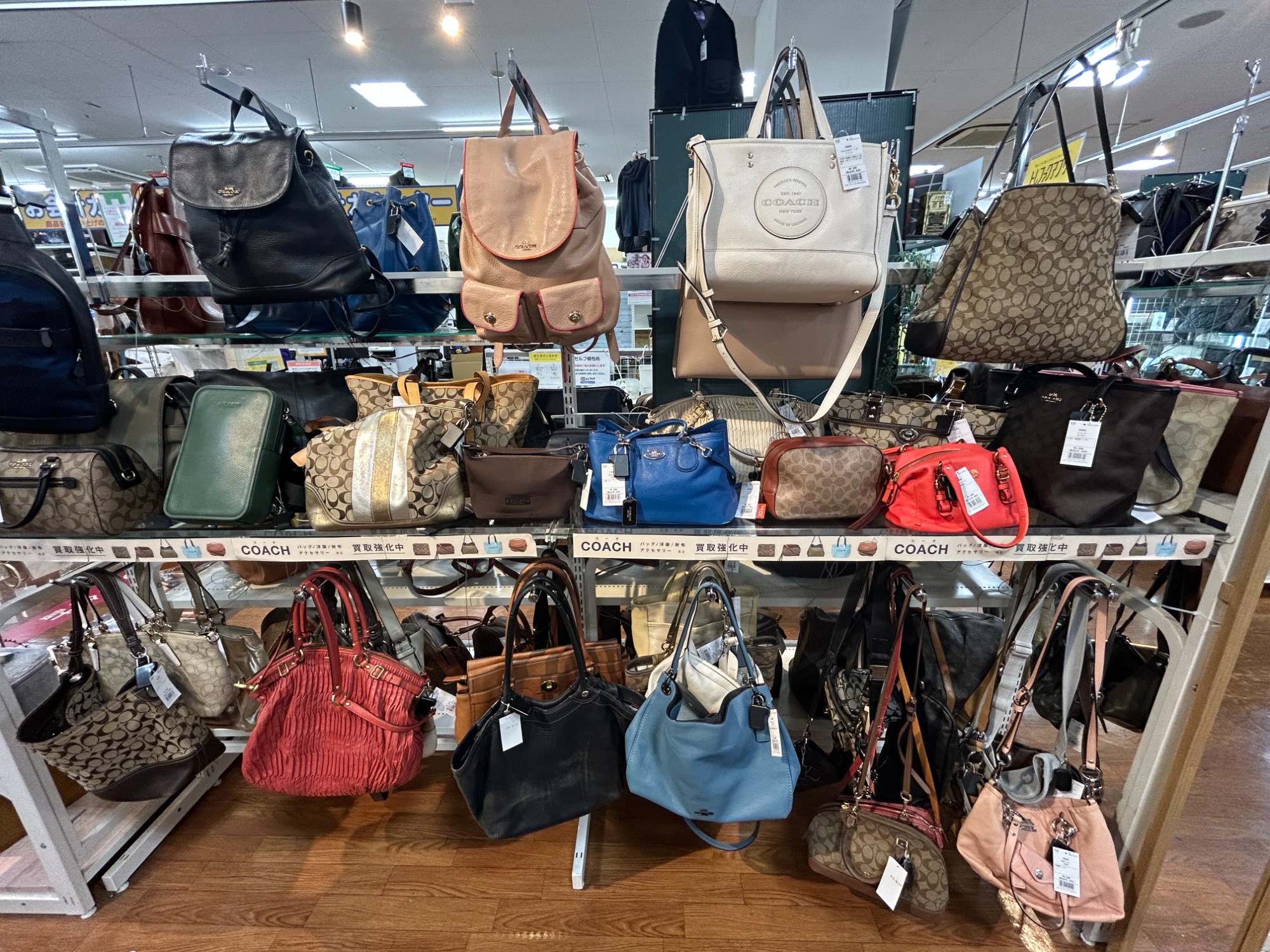 スマホで購入】COACH(コーチ) ウィラパンプスが入荷いたしました