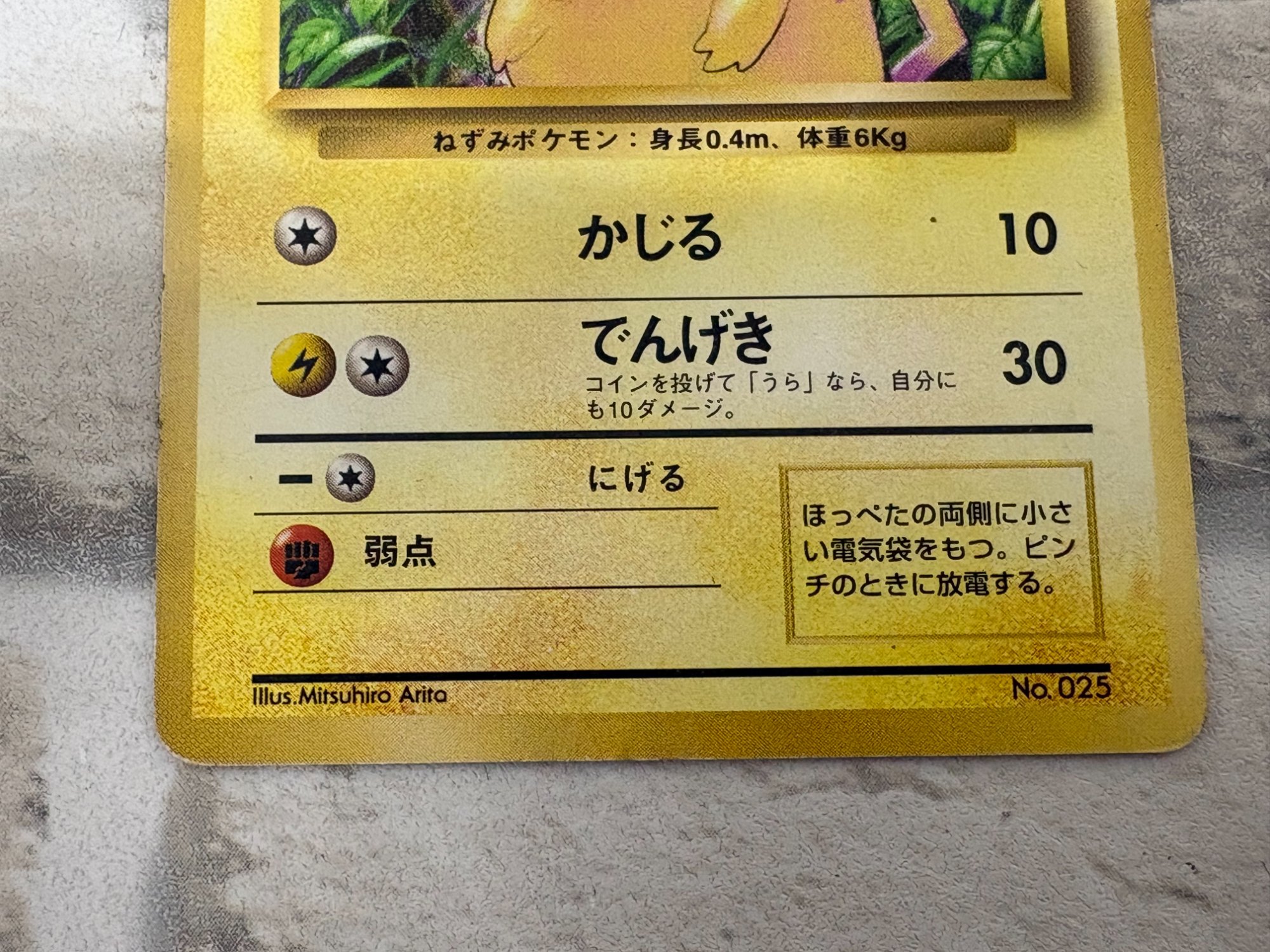 旧裏面のポケモンカードが多数入荷｜初期ポケカの買取・販売なら