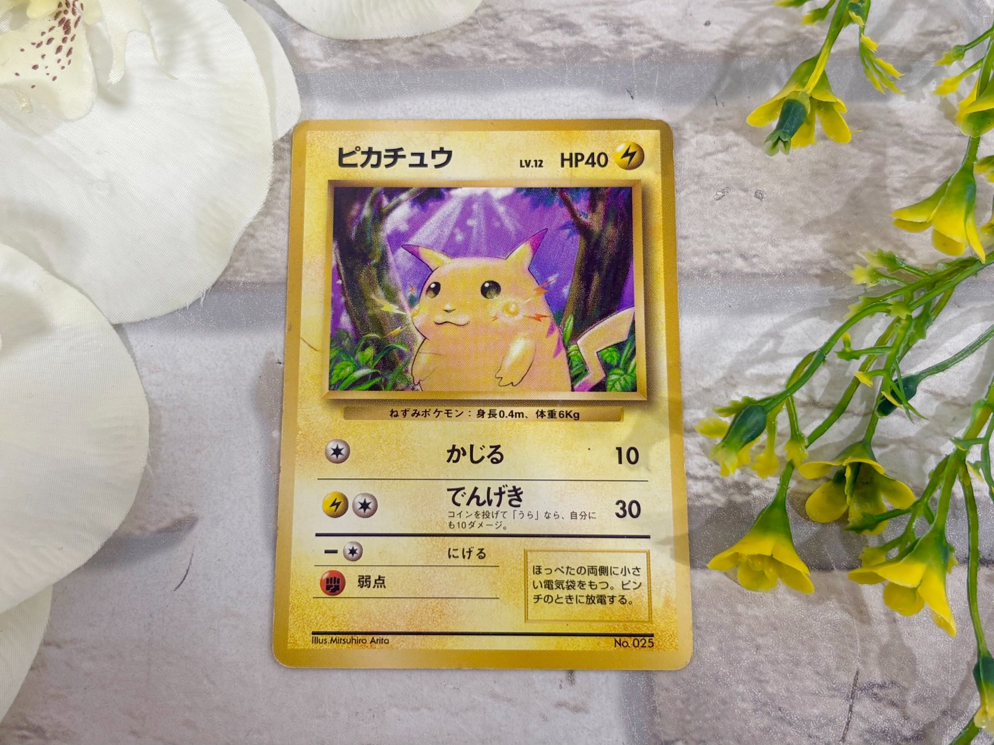 旧裏面のポケモンカードが多数入荷｜初期ポケカの買取・販売なら