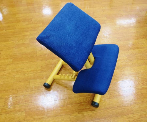 家具・インテリアのマルチバランスチェア
