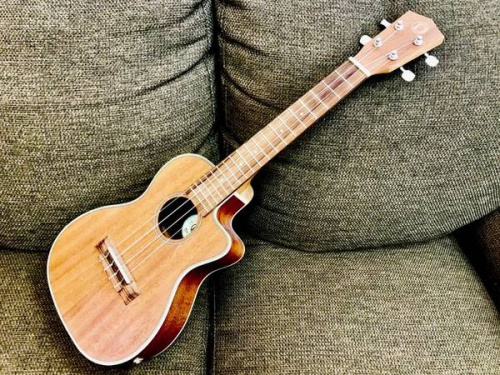 楽器・ホビー雑貨のギター