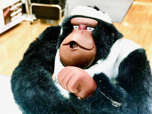 ゴリラのサル