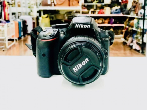 ニコン(NIKON)のD5300