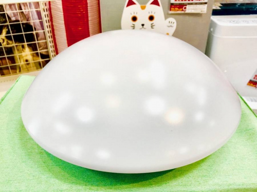 18年02月01日：画像７