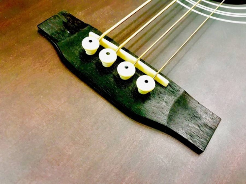 エレアコベースのアコースティックベース