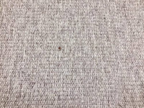 ソファのニトリ