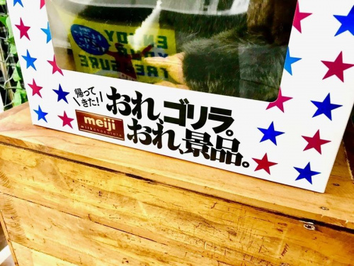 meijiのぬいぐるみ