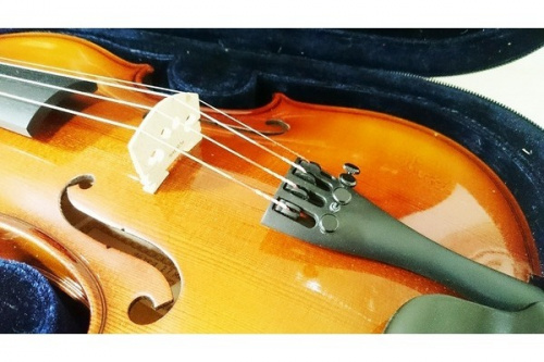 弦楽器のバイオリン