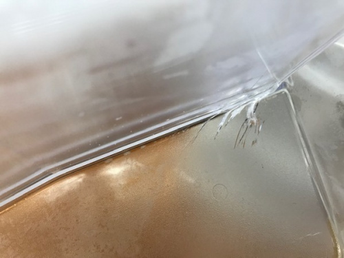 19年06月18日：画像８