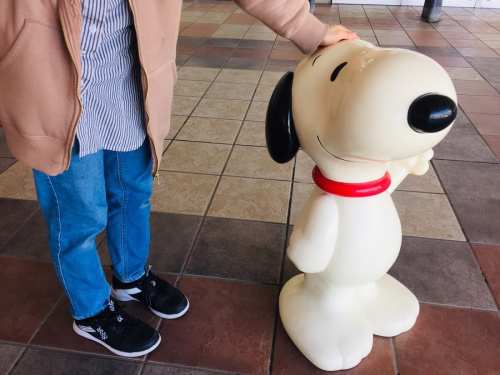 中央林間 中古販売