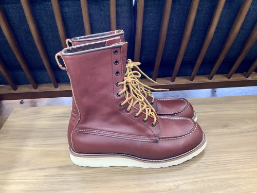 アイリッシュセッターのRED WING