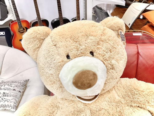 ヌイグルミのHugfun