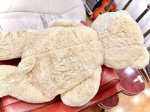 テディベアの中央林間　中古買取