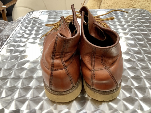 アイリッシュセッターのRED WING