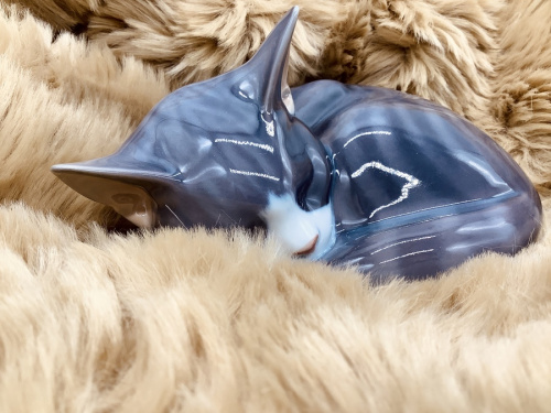 Sleeping Catのインテリア小物