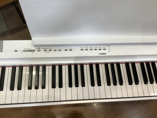 電子ピアノの大和 楽器