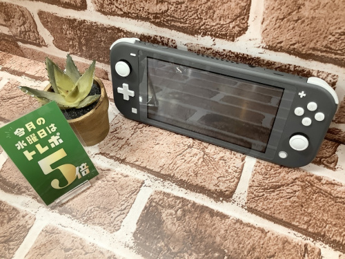ゲーム機のNintendo Switch Lite