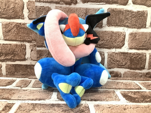 ポケットモンスターXYのポケモン