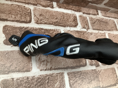PiNGのアイアン