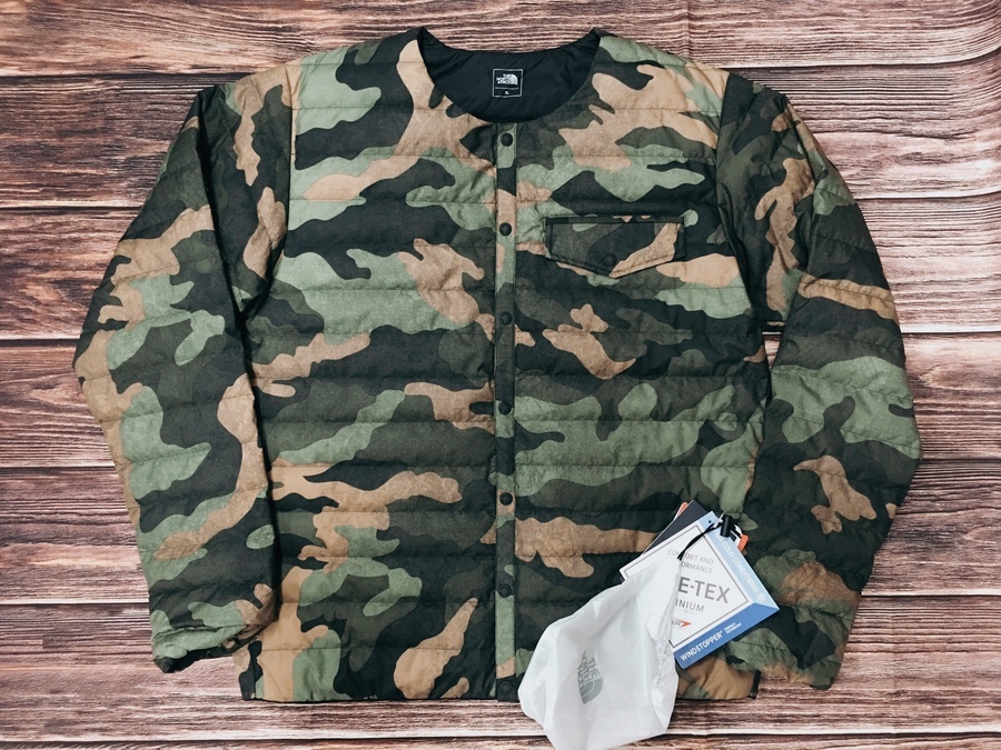 THE NORTH FACE(ノースフェイス)からダウンジャケット『WS
