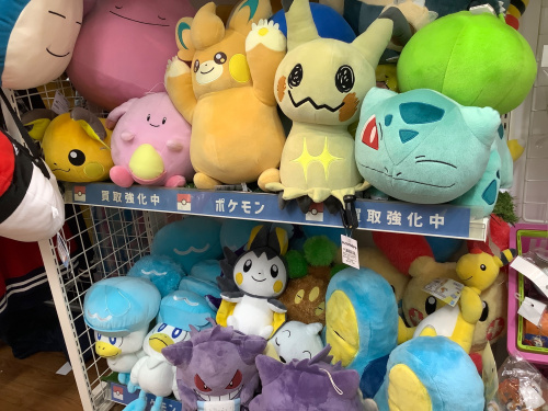 ポケモンセンター限定！メガリザードンYのポンチョを着たピカチュウの