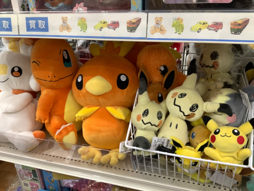 ポケモンセンター限定！メガリザードンYのポンチョを着たピカチュウの