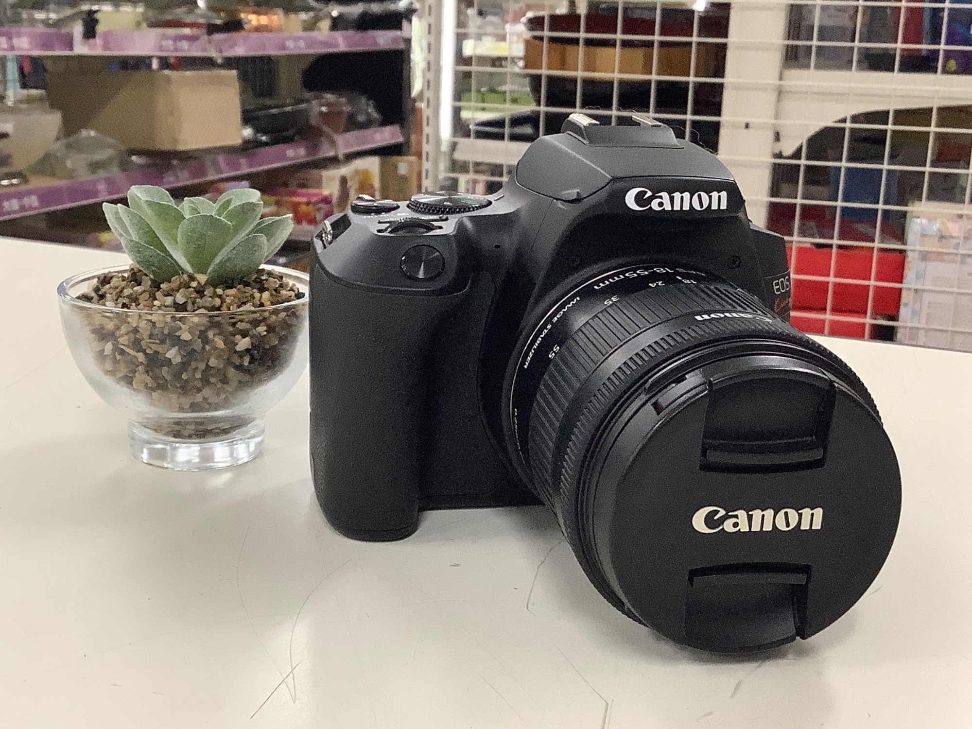 Canon(キャノン)のデジタル一眼レフカメラのご紹介です！！｜2024年04