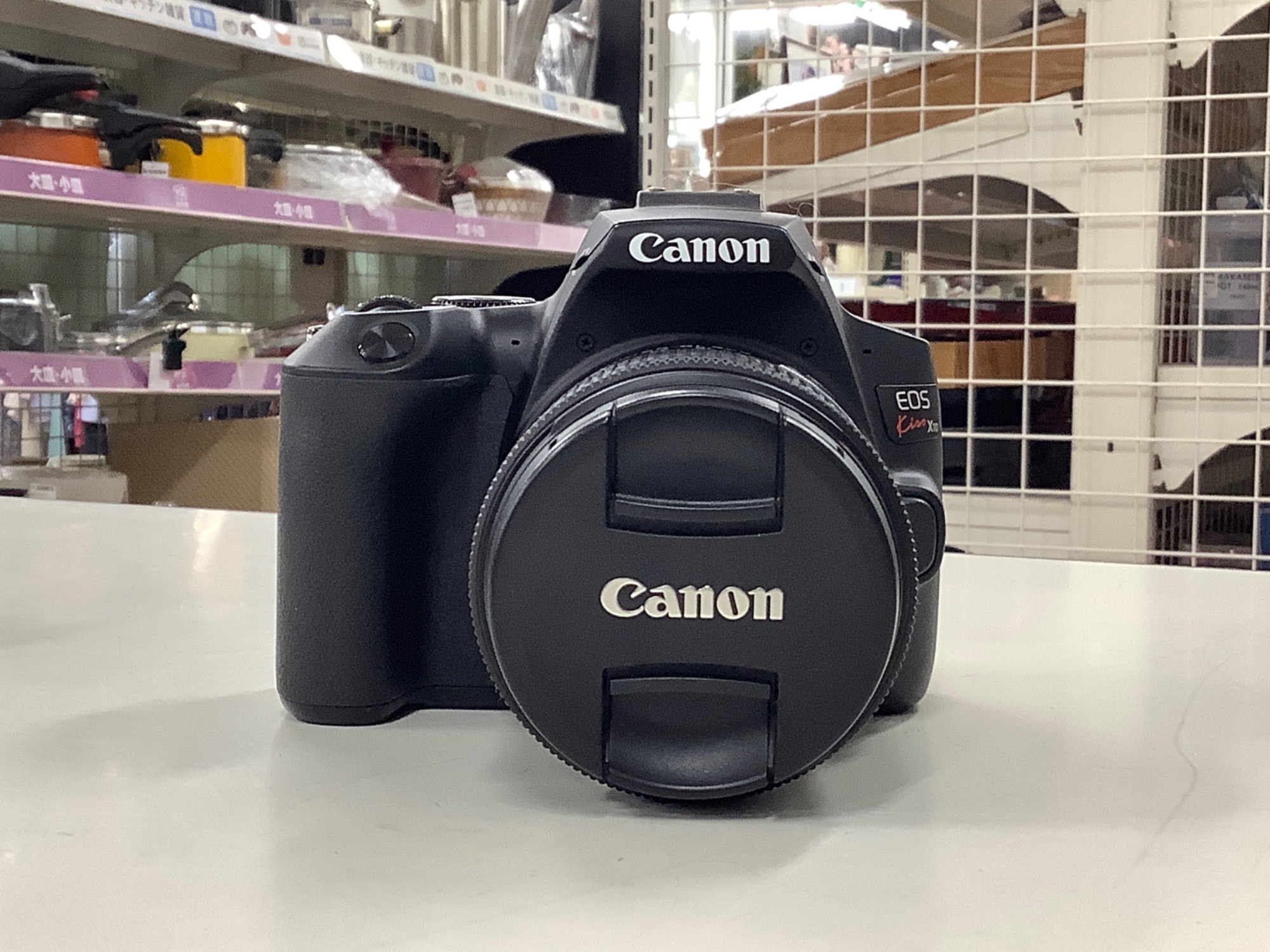 Canon(キャノン)のデジタル一眼レフカメラのご紹介です！！｜2024年04