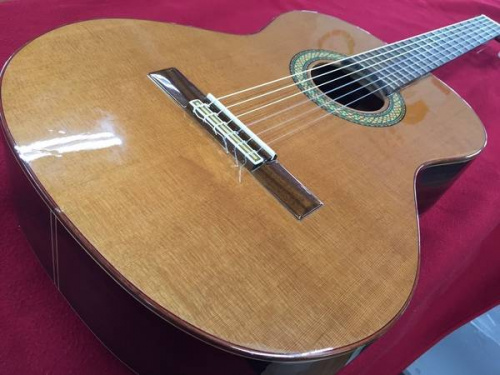 楽器・ホビー雑貨のギター