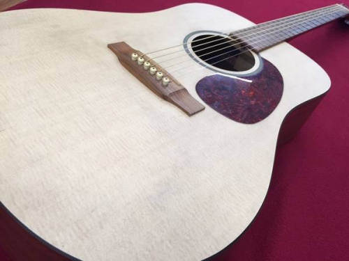 楽器・ホビー雑貨のギター