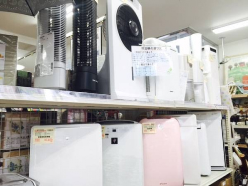 夏物家電の扇風機