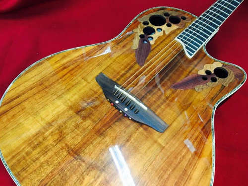 楽器・ホビー雑貨のエレキギター