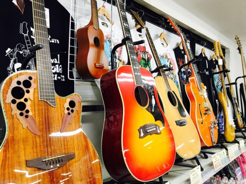 エレアコギターのovation