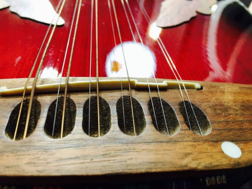 ovationの中古楽器