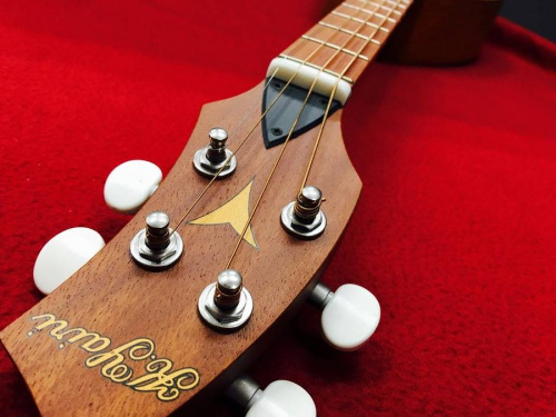 上板橋楽器のギター