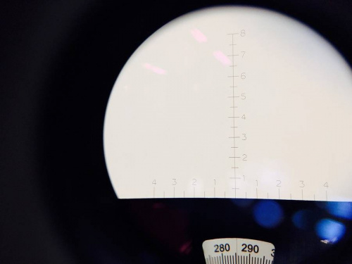 上板橋楽器・ホビーのベアブリック