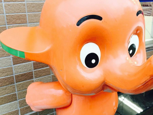 楽器・ホビー雑貨の上板橋楽器・ホビー