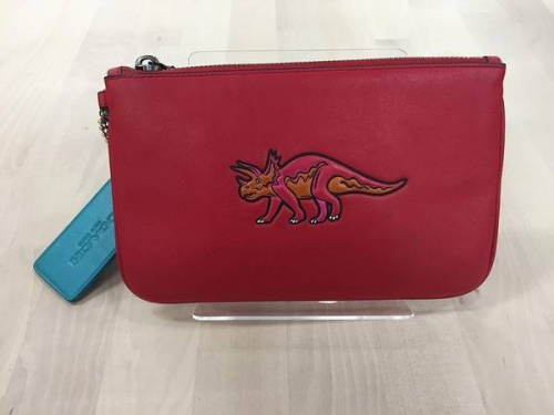 ポーチのコーチ（COACH）