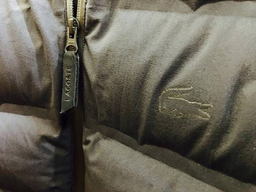 ブルゾンのTed Company