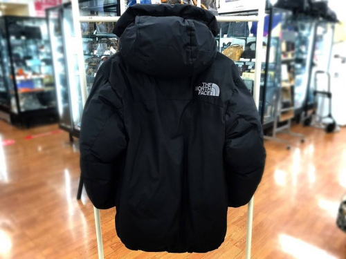 ダウンジャケットのTHE NORTH FACE