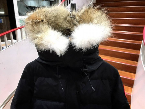 板橋　練馬　中野　池袋　洋服　中古　買取の板橋　練馬　中野　池袋　洋服　カナダグース 　中古　買取