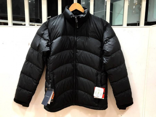 人気メンズアウター特集のTHE NORTH FACE